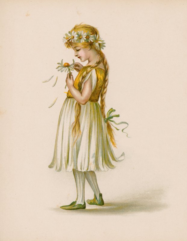 Ilustração para a linguagem das flores de English School