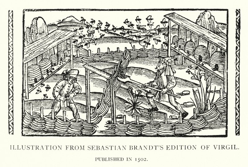 Ilustração da edição de Virgil de Sebastian Brandt, publicada em 1502 (litho) de English School