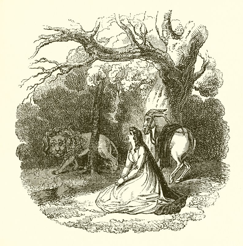 Ilustração do Faery Queene de English School