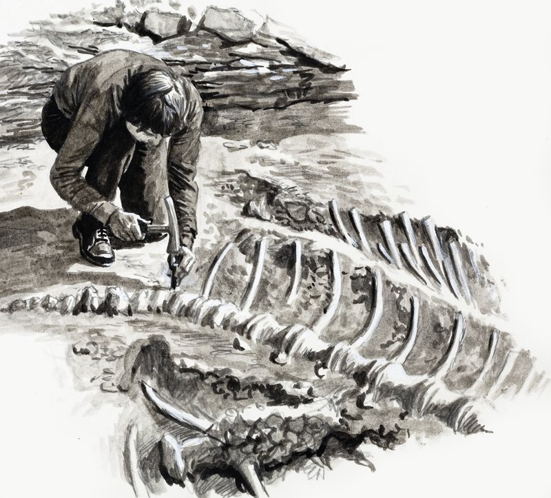 Nos Dias dos Dinossauros: Batalha dos Gigantes de English School