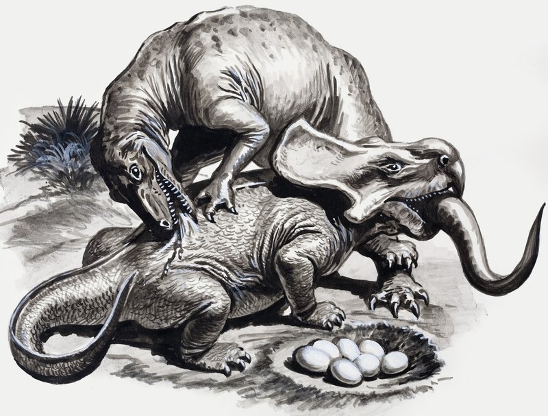 Nos Dias dos Dinossauros: Descoberta no Deserto de English School