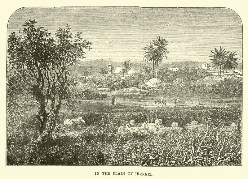 Na planície de Jezreel de English School