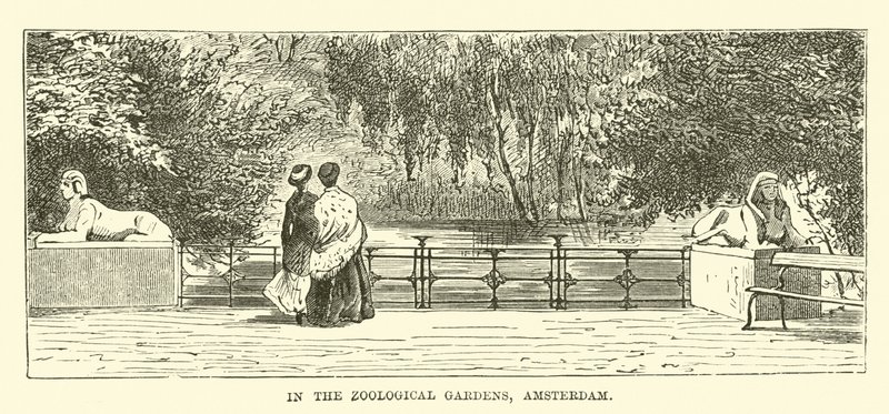 Nos jardins zoológicos, Amsterdã de English School