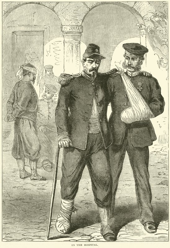 No hospital, novembro de 1870 de English School