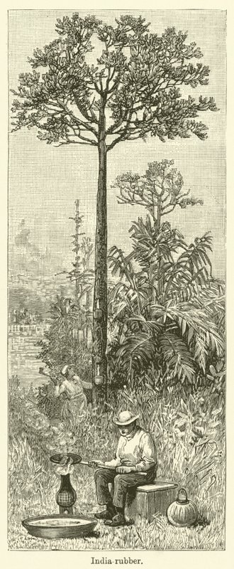 Borracha da Índia (gravura) de English School