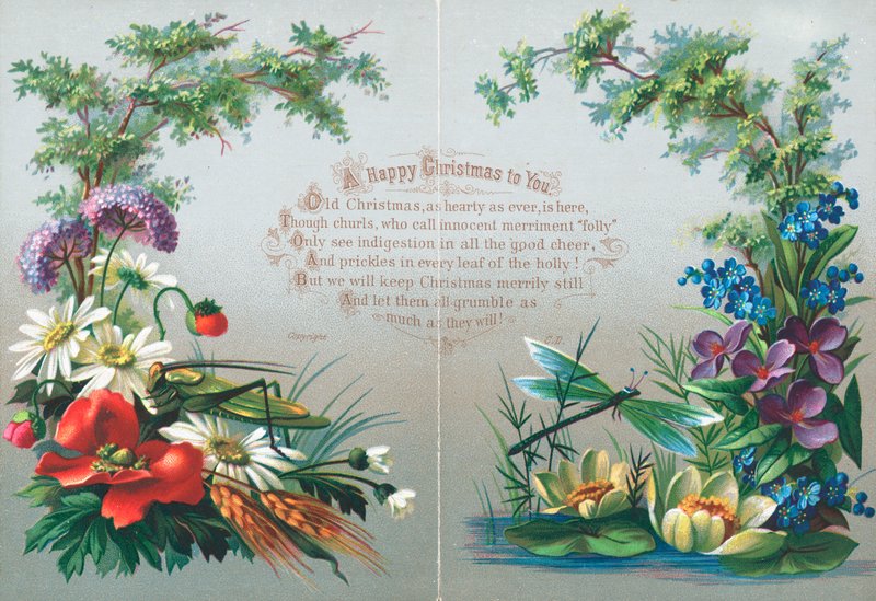 Insetos e flores, cartão de Natal de English School