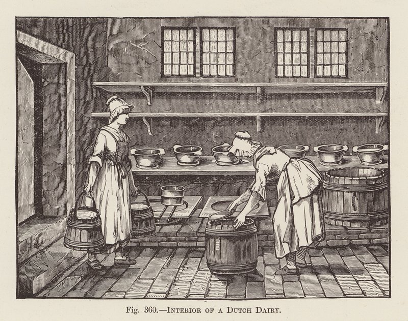 Interior de uma fábrica de lacticínios holandesa (gravura) de English School