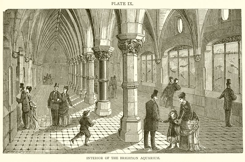 Interior do aquário de Brighton de English School