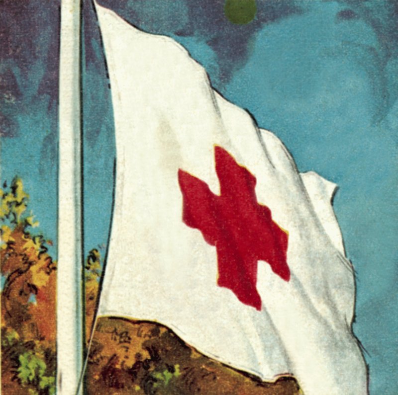 Bandeira da Cruz Vermelha Internacional de English School
