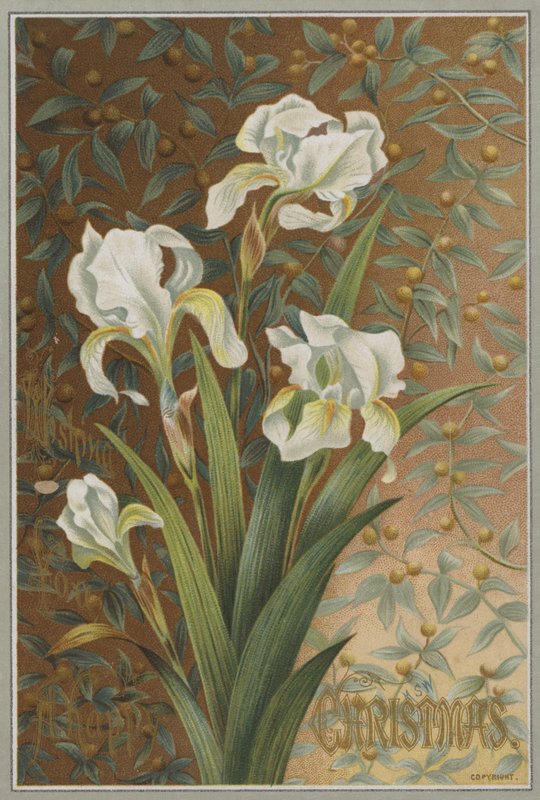 Íris (cromolito) de English School