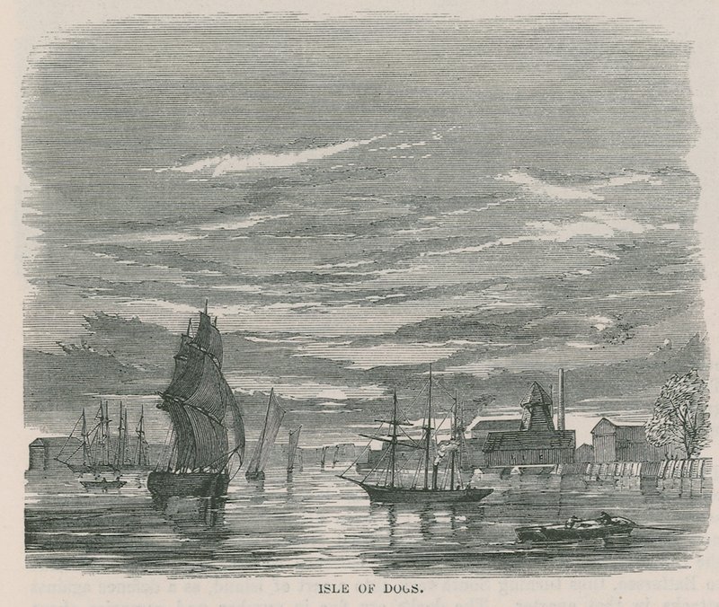 Ilha dos Cães de English School