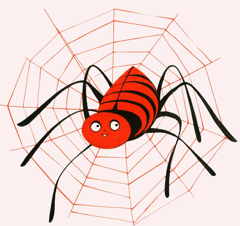 a dona Aranha de English School
