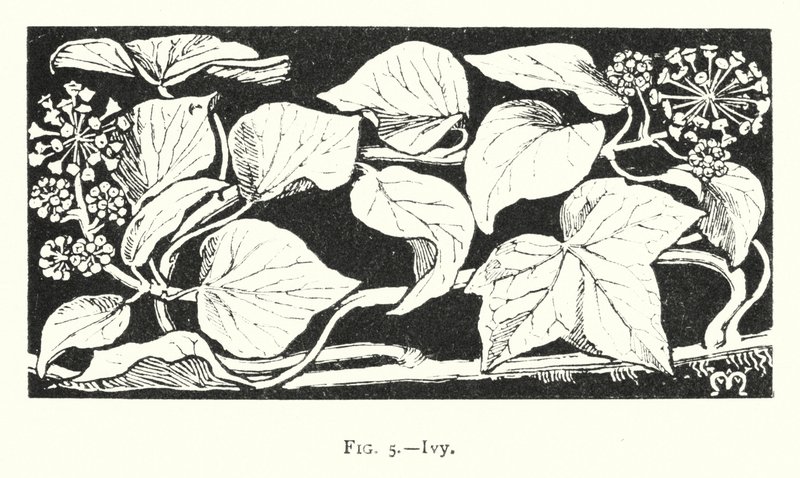 Hera (gravura) de English School