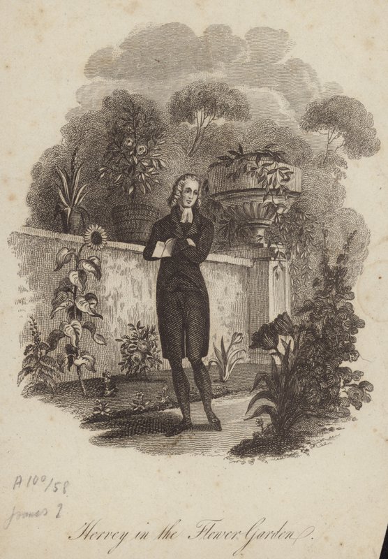 James Hervey no jardim de flores de English School