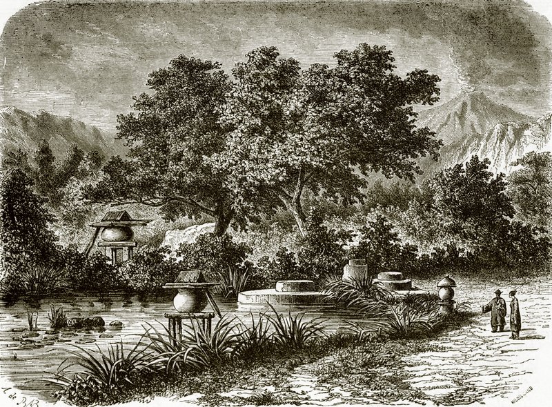 Jardins de chá japoneses de English School