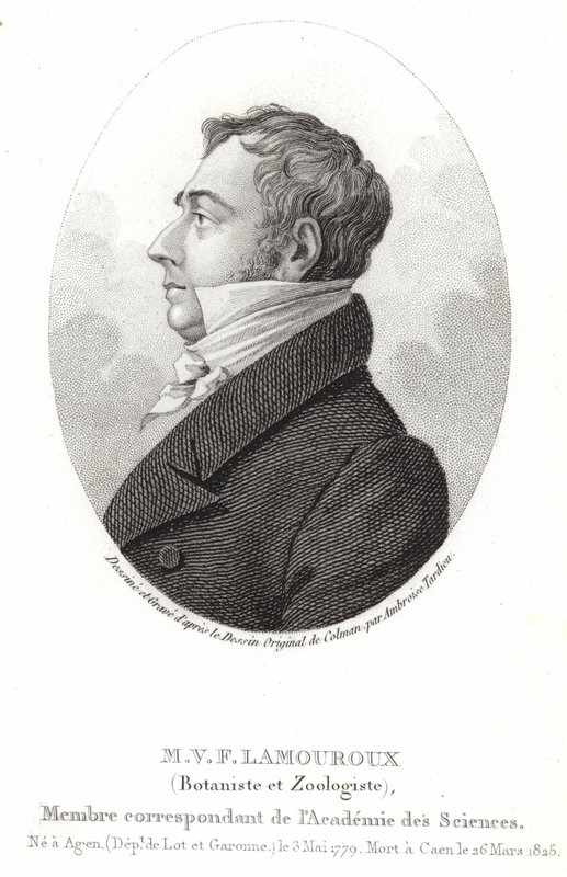 Jean Vincent Félix Lamouroux de English School
