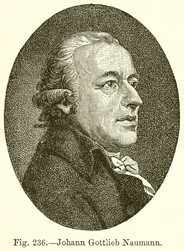Johann Gottlieb Naumann de English School