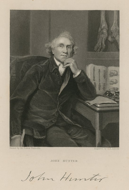 John Hunter de English School