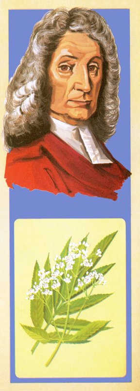 John Ray de English School