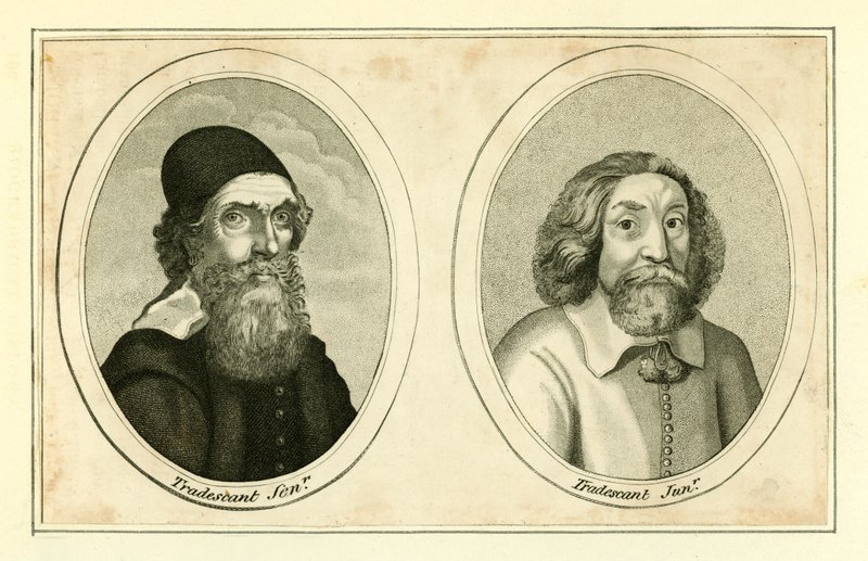 John Tradescant, Senior e Junior de English School