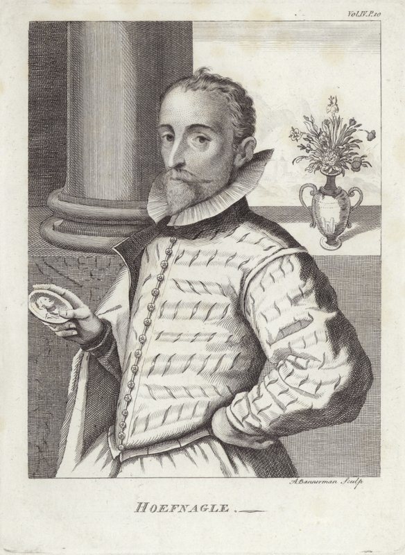 Joris Hoefnagel de English School