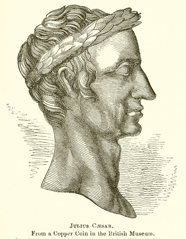 Júlio César de English School