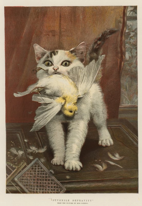 Depravação Juvenil (chromolitho) de English School