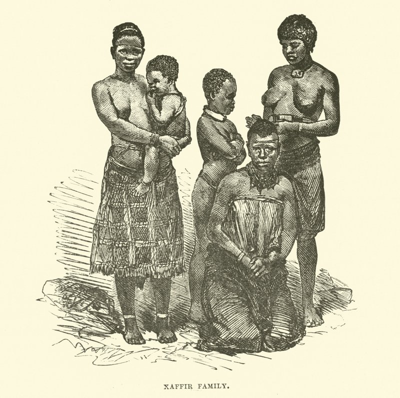 Família Kaffir de English School