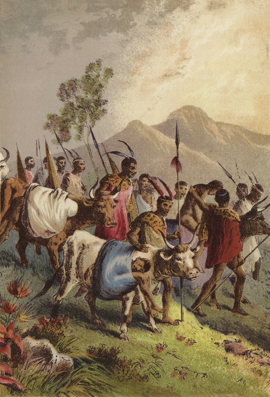Kaffirs carregando seus feridos da guerra de English School
