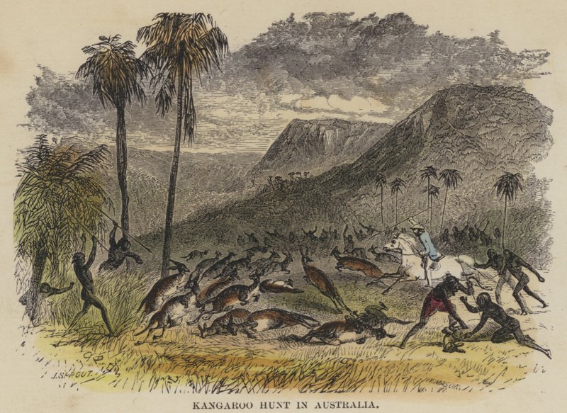Kangaroo Hunt in Australia (gravura colorida) de English School