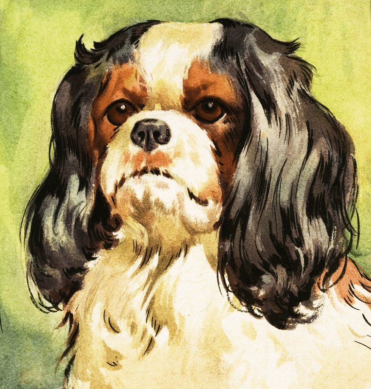 King Charles Spaniel de English School