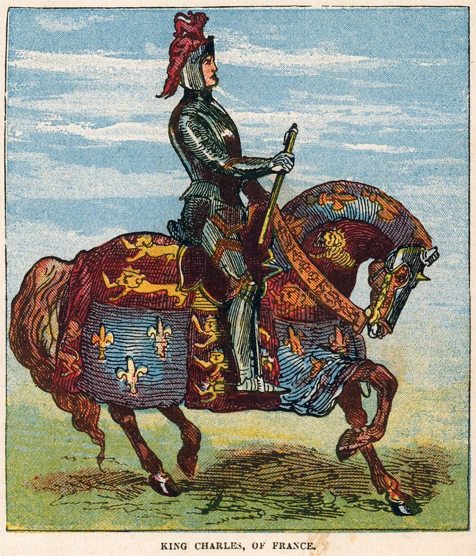 Rei charles da frança de English School