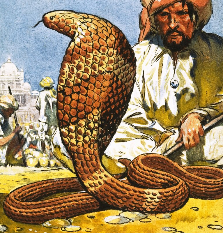 King Cobra de English School