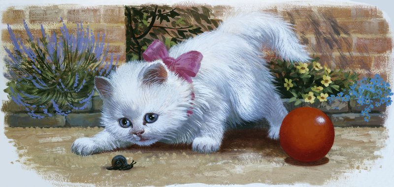Gatinho com caracol e bola de English School