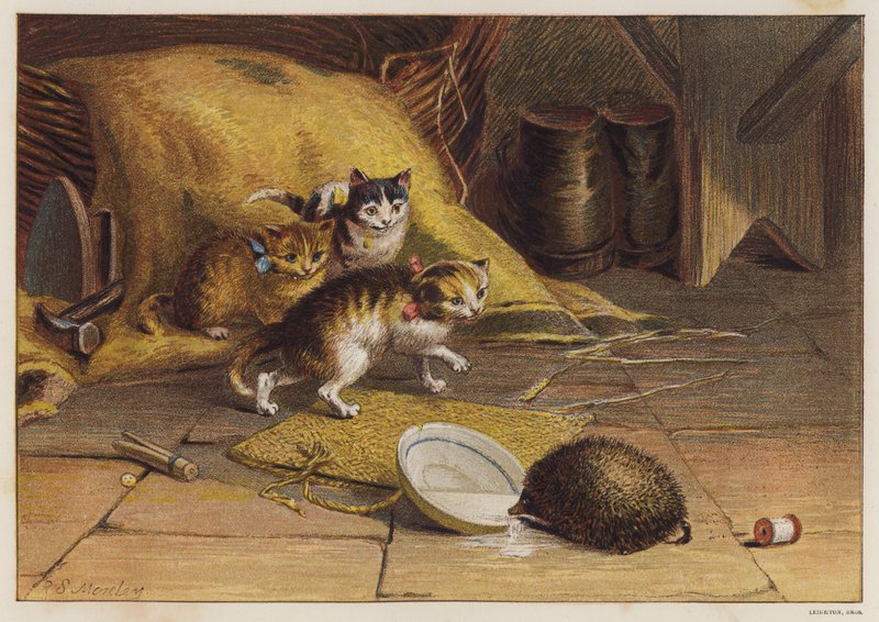 Gatinhos perplexos por um ouriço (cor litho) de English School