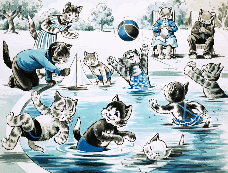 Gatinhos brincando em uma lagoa de English School