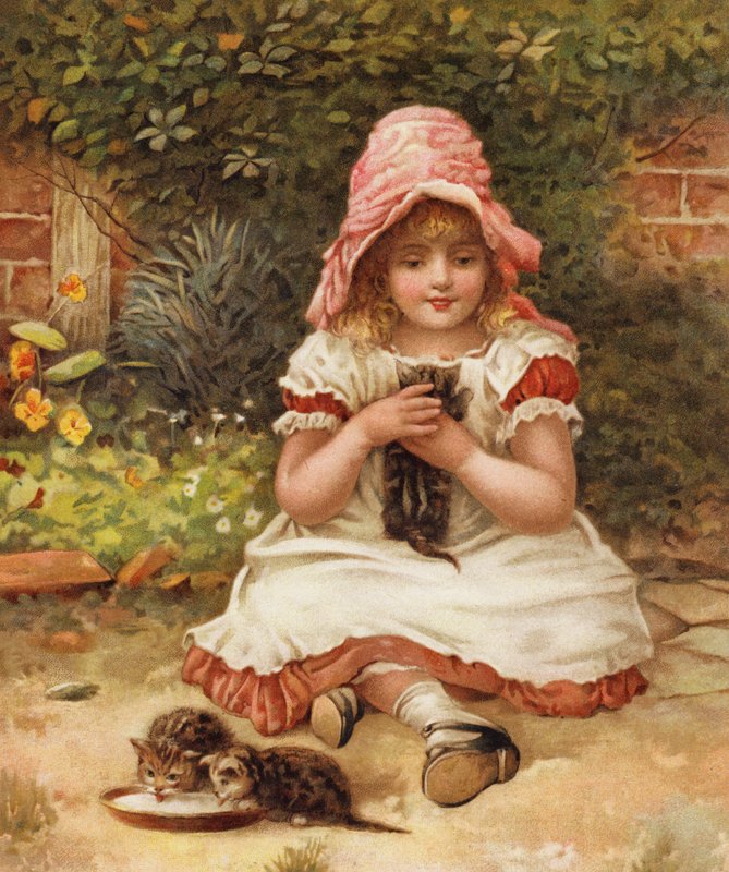 Kittie não deve ser ganancioso (cor litho) de English School