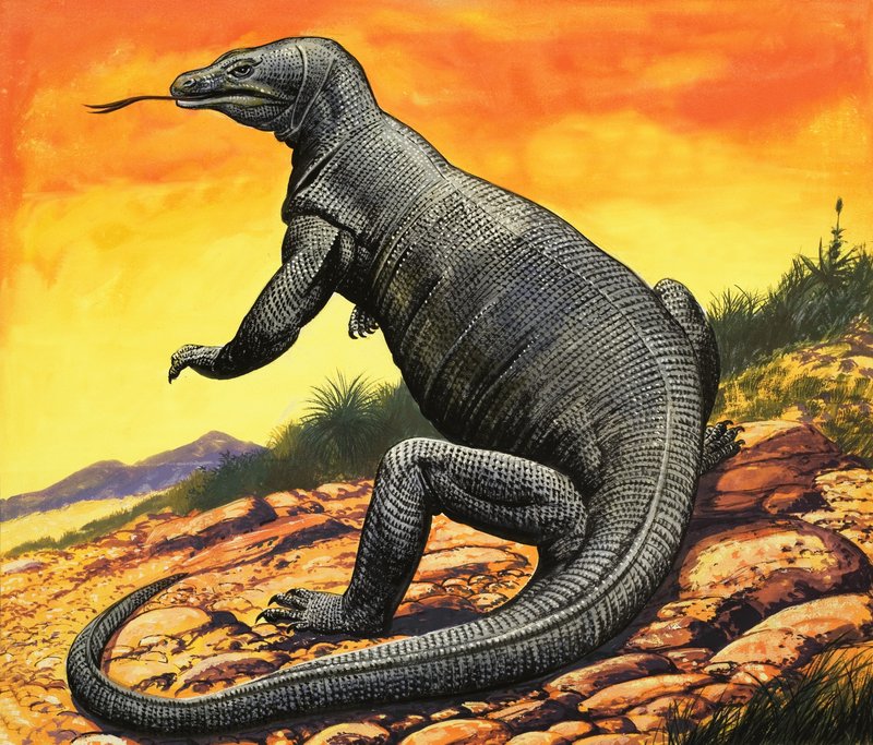 Dragão de Komodo de English School