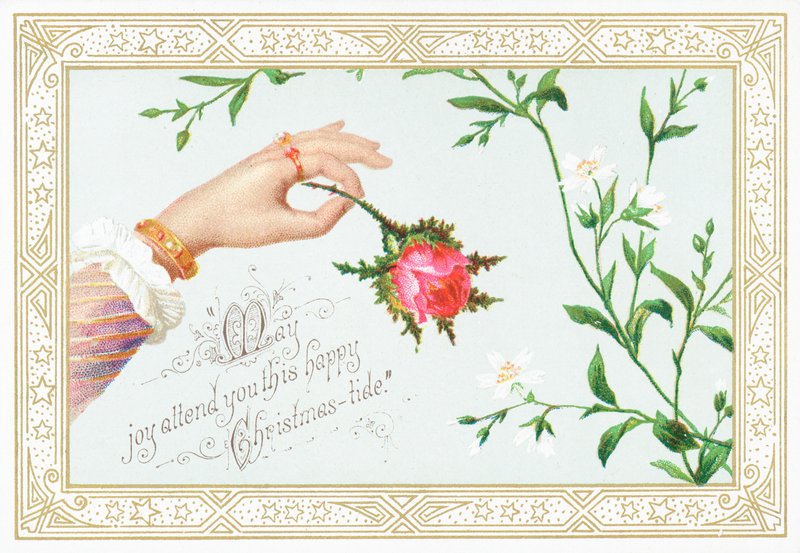 As senhoras mão segurando Rose, cartão de Natal de English School