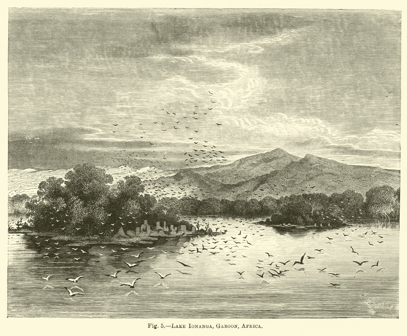Lago Ionanga, Gabão, África de English School