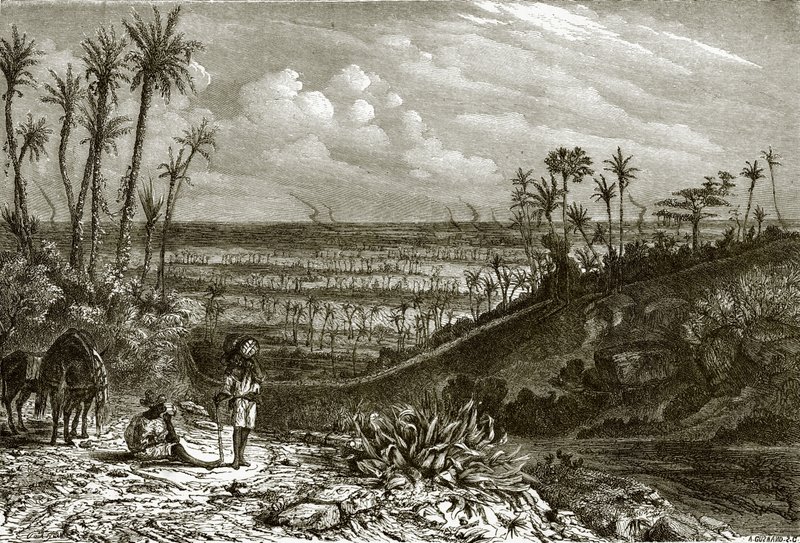 Paisagem na ilha de Cuba de English School