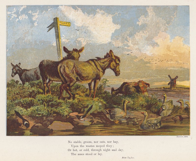 Paisagem com burros e aves (litografia a cores) de English School