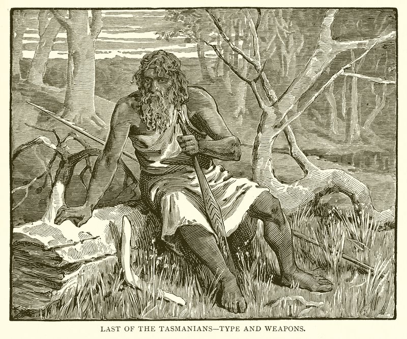 Último dos Tasmanianos - Tipo e Armas de English School