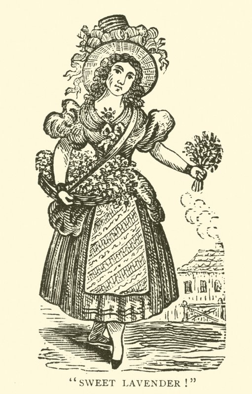 Vendedor de lavanda (xilogravura) de English School