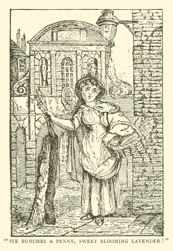 Vendedor de lavanda (xilogravura) de English School