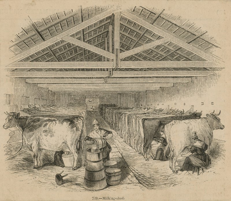 Laycocks Dairy Farm, datado de julho de 1841 de English School