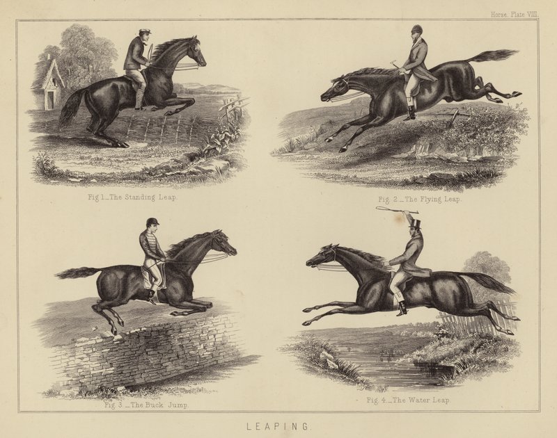 Saltar (cor litho) de English School