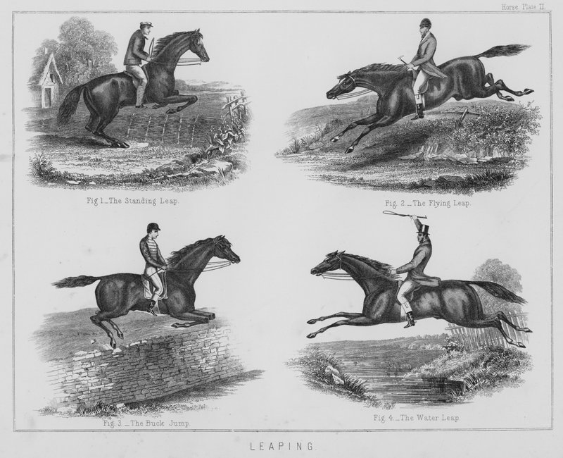 Saltar (litho) de English School