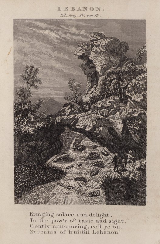 Líbano, Solomon Song IV, ver 15 (gravura) de English School