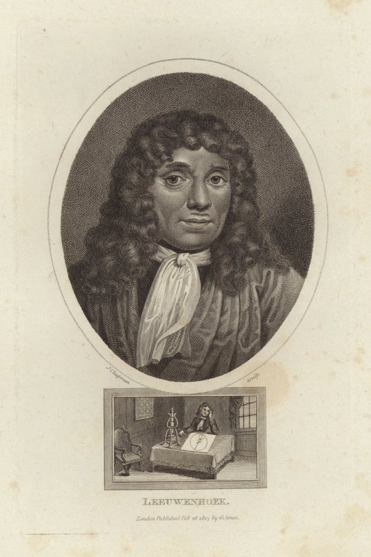 Leeuwenhoek de English School